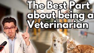 The BEST part about being a VETERINARIAN