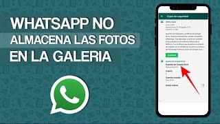 Por que no se Guardan las Fotos de WhatsApp en la Galería - Solución