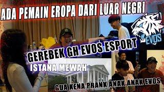 NEW GEREBEK GH EVOS ESPORT ADA PEMAIN INPOR YANG MEWAH NIAT NGEPRANK MALAH KENA PRANK ANAK2 EVOS!!