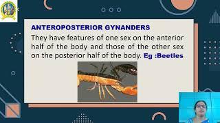 GYNANDROMORPHS – Dr.A.S. Maheswari - Dept. of Zoology