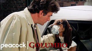 The Best Of Columbo's Dog | Columbo