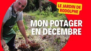 What to do in the vegetable garden in December?