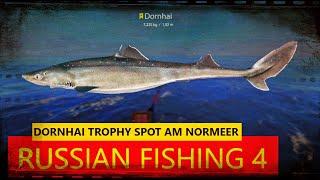 Russian Fishing 4 Trophys am Nordmeer der Dornhai Spot und Set Up Silber verdienen