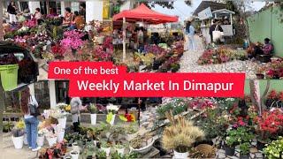 Exploring Dimapur Market 🪴|| Naga’s Flower Market Dimapur || Super Market Dimapur Nagaland