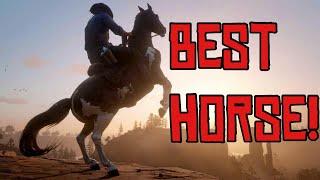 BEST Horse In Red Dead Redemption 2!