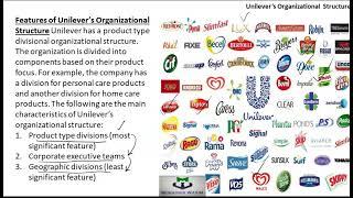 Ch3 L4c Departmentalization Divisional Structure of Unilever Course Intro  to Busi  PRC5