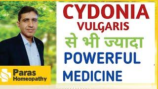 Cydonia Vulgaris | In Hindi | Uses | Cydonia Vulgaris Homeopathic Medicine | Damiana | Q | MT