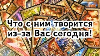 Что с ним творится из-за Вас сегодня!🪄️