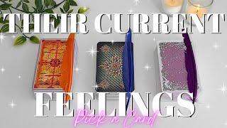 ️ Their Current Feelings For You & This Connection  TAROT PICK A CARD | Timeless Love Reading