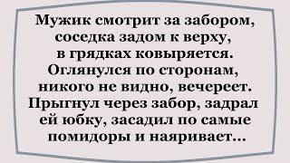 Как мужик с соседкой на  травке отдыхали..   Смешные АНЕКДОТЫ,