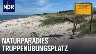 Truppenübungsplatz - Das Schutzgebiet am Ostseestrand | Die Nordreportage | NDR Doku