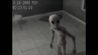 real alien in the room