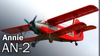 An-2 | The history of the eternal biplane