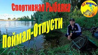 Отличный клев белой рыбы. Рыбалка на Рузском Водохранилище #fishing #рыбалка #33карася #fish #лещ