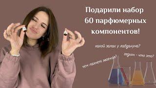 Как научиться разбираться в парфюмерии? Я стану парфюмером? Лучший подарок на 8 марта