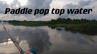 Casting tasik bukit merah/Ozmy paddle pop 14cm 20g/rapala/antaresdc md/subscribe like comment tq guy