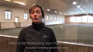 Equine Reproduction: When To Have A Breeding Soundness Exam