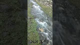 Chitral of birir | Birir Chitral beautiful | #chitral #travel #travelchitral