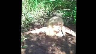 a elderly woman loses her life in real quicksand