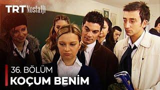 Koçum Benim 36. Bölüm