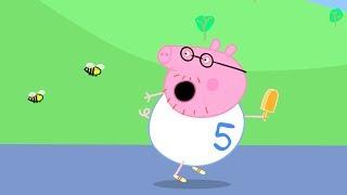 Fun Run with Daddy Pig - Stay Fit with Peppa Pig | Peppa Pig Official Family Kids Cartoon