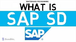 What is SAP SD Explained | Introduction to SAP SD Basics