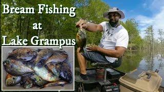 Bream Fishing at Lake Grampus 5/1/24