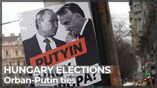 Hungary elections: Opposition criticise Orban-Putin ties