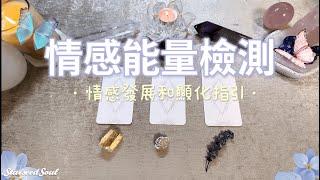 ️塔羅占卜| 情感能量檢測：近期的感情能量如何？情感的顯化和發展預測| 宇宙的建議和指引(Timeless)