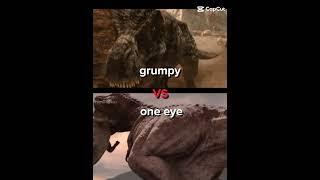 grumpy vs one eye