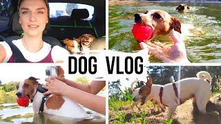 DOG VLOG | Поехали с собаками  на речку | Ника плавает! |  Реакция на уток