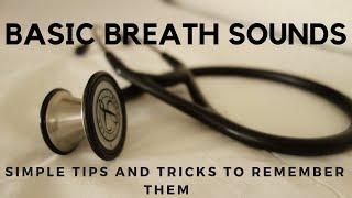 Basic Breath Sounds: Simple Tips and Tricks to Remembering Them