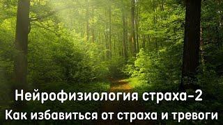 Нейрофизиология страха. Часть 2. Практики работы со страхами.