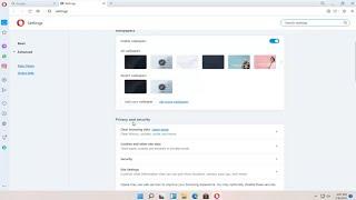 How to Delete Browsing History In Opera On Windows 11 [Tutorial]