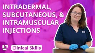 Intradermal, Subcutaneous, and Intramuscular Injections: Clinical Nursing Skills | @LevelUpRN​