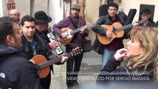 El Barquero - Ronda El Madroñal de Villanueva de la Vera (Cáceres)