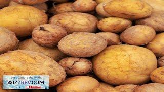 Potato (Mid-Season) German Butterball (Organic rounds) – Seeds Review