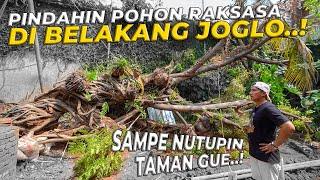 #3 PROJECT ASRAMA PUTRI | GAK NYANGKA POHON YANG ADA DARI DULU DI JOGLO TERNYATA SEINDAH INI..!