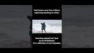 Real heroes | humanity | animal rescue #realhero #helpingothers #trendingvideo