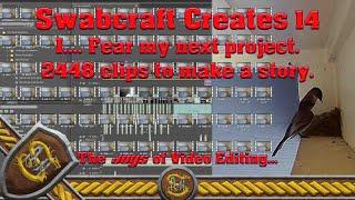 Swabcraft Creates 14, Video Editing, Eastern Pheobe Nest Footage, Leaving the nest