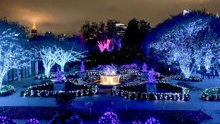 Atlanta Botanical Garden Christmas Light Full Walk Through