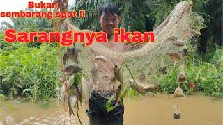 PASANG JARING IKAN PART 2 || HASIL PUKAT MELIMPAH || JARING IKAN || IKAN LELE || FISHING || DKO