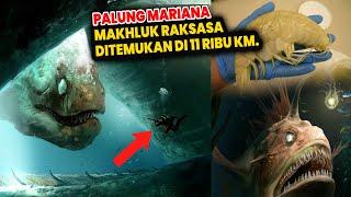 10x Lipat!!  Penghuni Lautan Terdalam di Dunia Palung Mariana