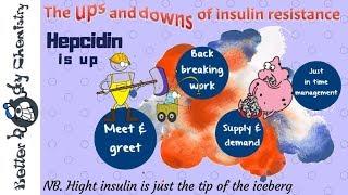 Hepcidin levels in the insulin resistant