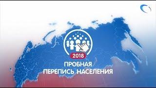 В России стартовала Пробная перепись населения