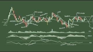 What Are Technical Indicators for Forex, Cryptocurrency, Commodities & Stocks