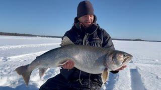 How To Set Deadlines to Catch Giant Lake Trout Ice Fishing!