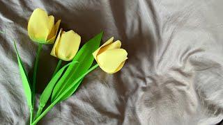 Paper TULIPS. Simply and easily.  Тюльпаны из обычной бумаги. МК