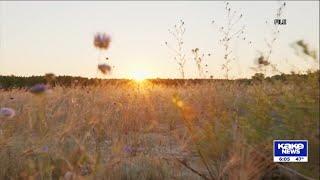 Heart Health experts share tips to adjust as daylight saving time begins