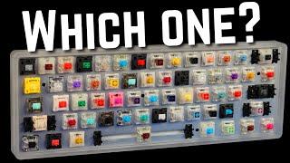 How to Choose the Perfect Switch For YOU!
